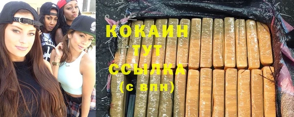 гидра Дмитров