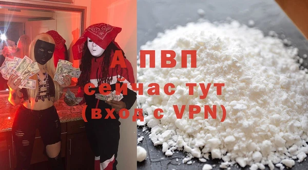 гидра Дмитров