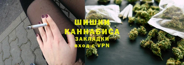 гидра Дмитров